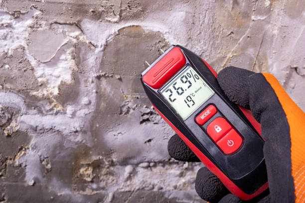 Best Residential Mold Removal  in Valley View, OH